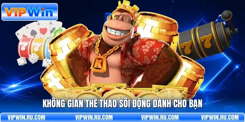 Không gian thể thao sôi động dành cho bạn